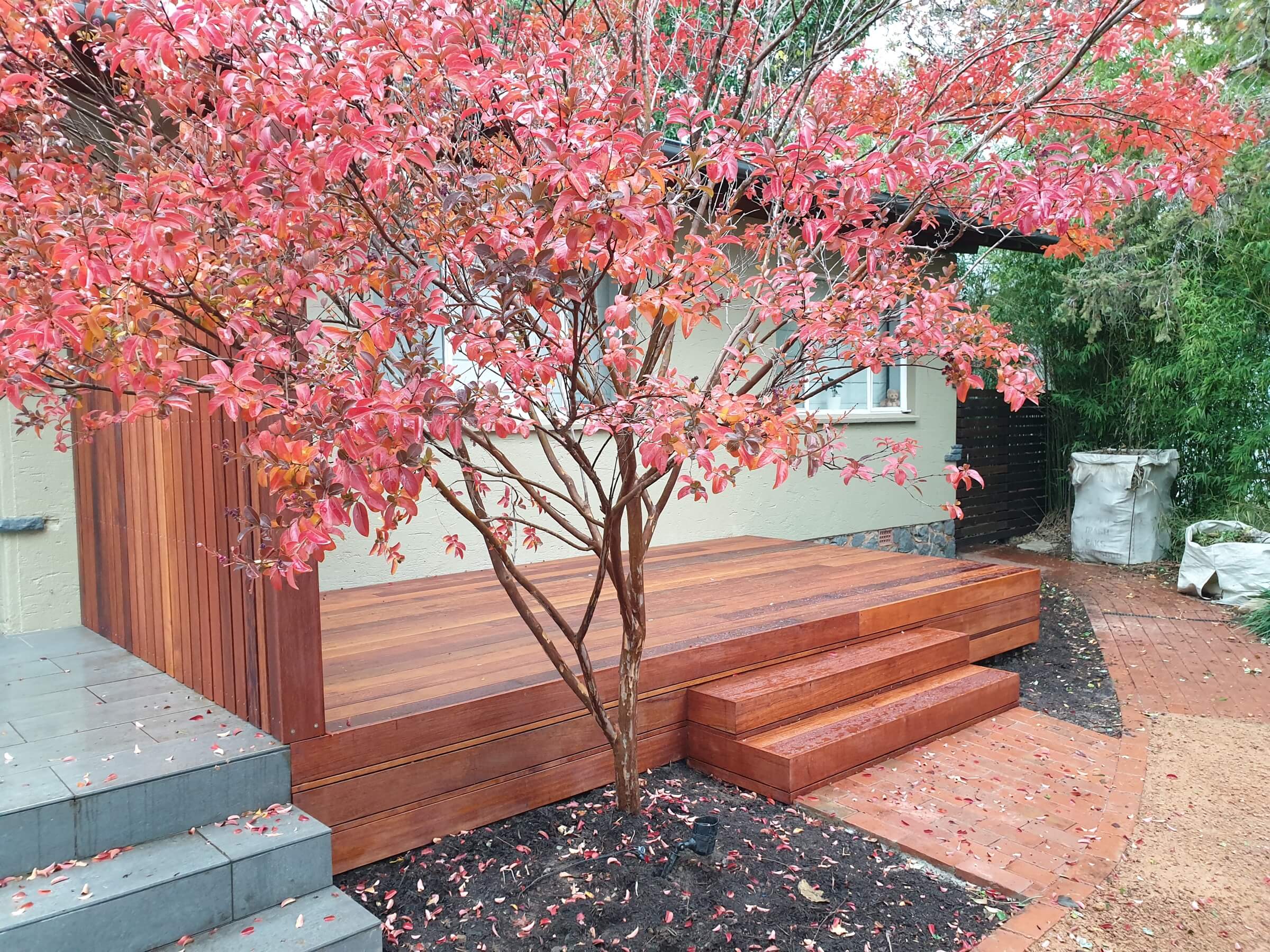 Merbau timber decking